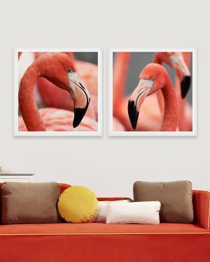 tablou flamingo